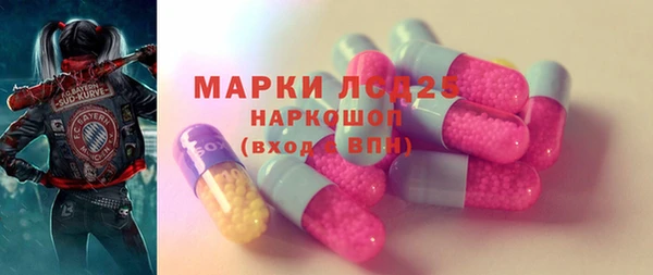 индика Наволоки