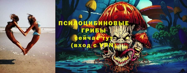 индика Наволоки