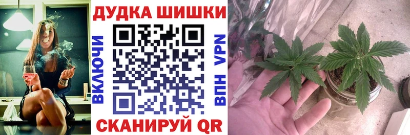 darknet Telegram  Яранск  Конопля план  где продают наркотики 